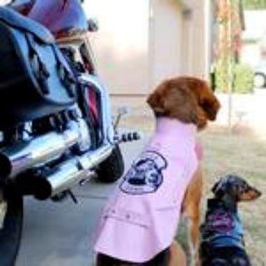 Pink faux leather Motorcycle Jacket